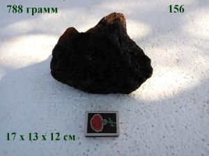 gallery_4735_2545_129660.jpg