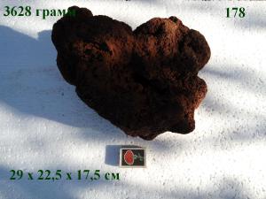 gallery_4735_2545_160709.jpg