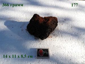 gallery_4735_2545_161914.jpg