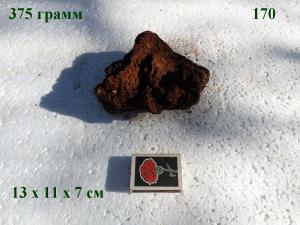 gallery_4735_2545_172297.jpg