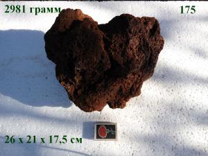 gallery_4735_2545_193253.jpg