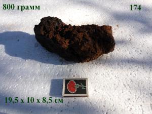 gallery_4735_2545_21505.jpg