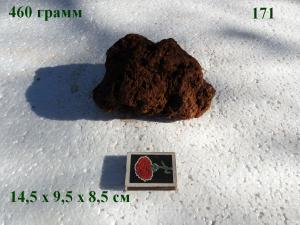gallery_4735_2545_73901.jpg