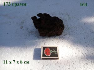 gallery_4735_2545_78275.jpg