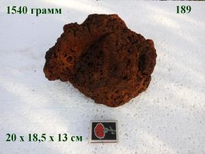 gallery_4735_2545_89745.jpg