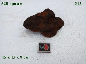 gallery_4735_2545_43110.jpg