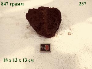 gallery_4735_2545_70732.jpg
