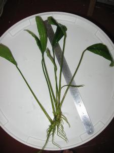gallery_32041_2551_942165.jpg