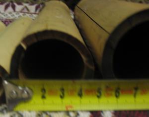 gallery_36883_2558_40948.jpg