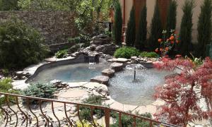 gallery_17756_2582_2370515.jpg