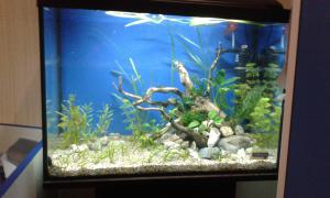 gallery_17756_2582_889604.jpg