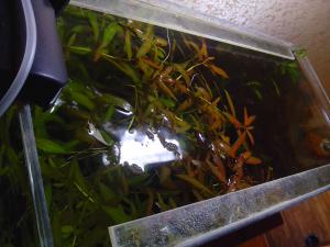 gallery_38123_2610_10879.jpg