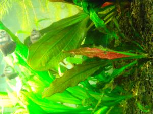 gallery_38123_2610_826222.jpg