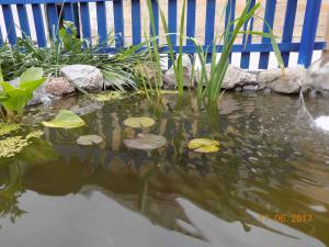 gallery_15050_2606_897837.jpg