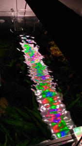 gallery_5135_2595_1353518.jpg