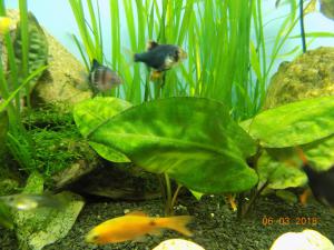 gallery_15050_957_333276.jpg