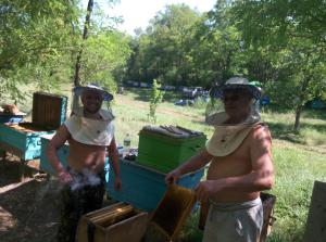 gallery_40140_2652_2124896.jpg