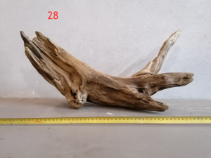 gallery_38031_2683_1242251.png