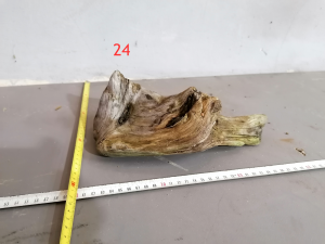 gallery_38031_2683_3554796.png