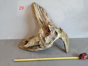 gallery_38031_2683_5558206.png