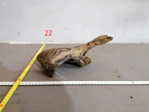 gallery_38031_2683_7101998.png