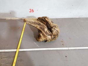 gallery_38031_2683_7926240.png