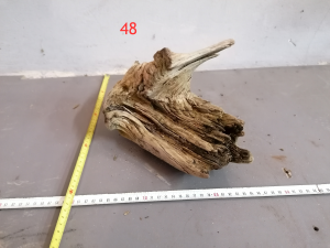 gallery_38031_2683_8747222.png