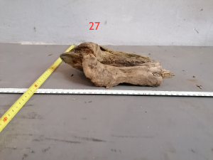 gallery_38031_2683_8837099.png