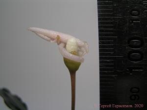 gallery_35366_2346_110444.jpg