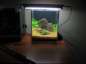 dophin kf 150 инструкция