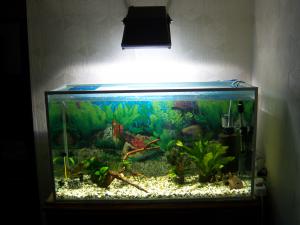 Картинка с форума