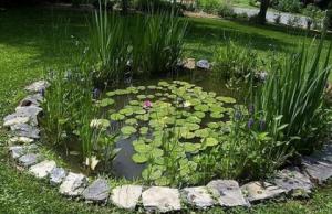 Как сделать искусственный пруд на даче своими руками ...