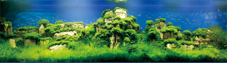 Aquascape - природный аквариум Amano Aquascape - природный аквариум Amano