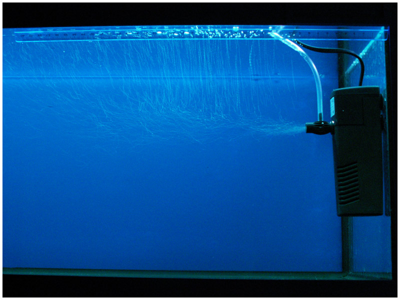 Aquarium Internal Filter  -  10