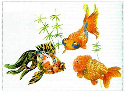 золотая рыбка в древнем китае